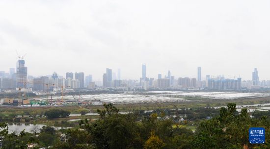 這是1月23日拍攝的建設中的河套深港科技創新合作區香港園區。